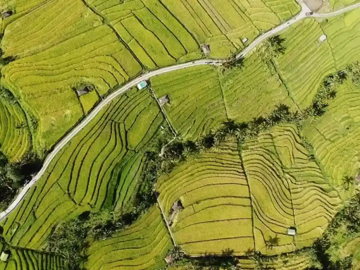 Aerial view of terraced rice fields and access roads at Jatiluwih, Tabanan regency